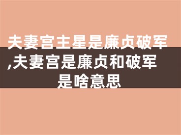 夫妻宫主星是廉贞破军,夫妻宫是廉贞和破军是啥意思