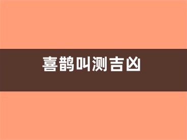 喜鹊叫测吉凶