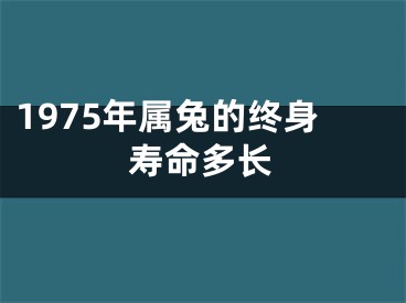 1975年属兔的终身寿命多长