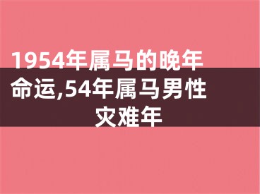 1954年属马的晚年命运,54年属马男性灾难年