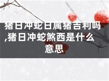 猪日冲蛇日属猪吉利吗,猪日冲蛇煞西是什么意思