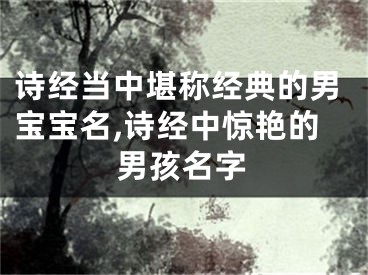 诗经当中堪称经典的男宝宝名,诗经中惊艳的男孩名字
