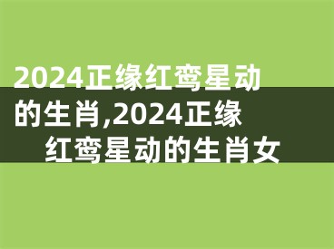 2024正缘红鸾星动的生肖,2024正缘红鸾星动的生肖女