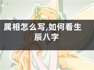 属相怎么写,如何看生辰八字