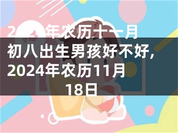 2024年农历十一月初八出生男孩好不好,2024年农历11月18日