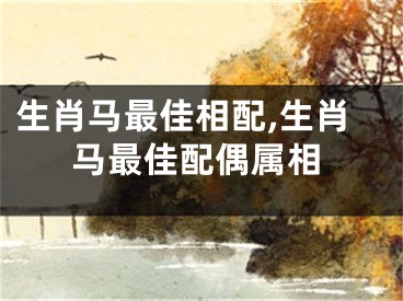 生肖马最佳相配,生肖马最佳配偶属相