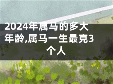 2024年属马的多大年龄,属马一生最克3个人