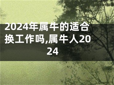 2024年属牛的适合换工作吗,属牛人2024