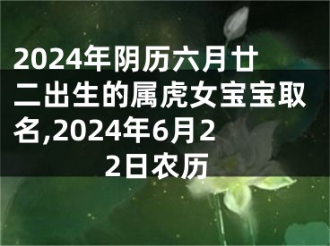 2024年阴历六月廿二出生的属虎女宝宝取名,2024年6月22日农历