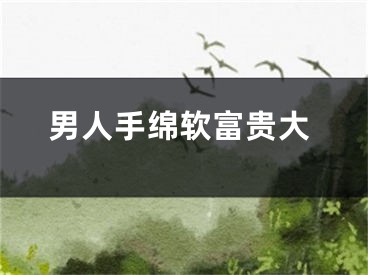 男人手绵软富贵大
