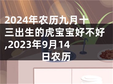 2024年农历九月十三出生的虎宝宝好不好,2023年9月14日农历