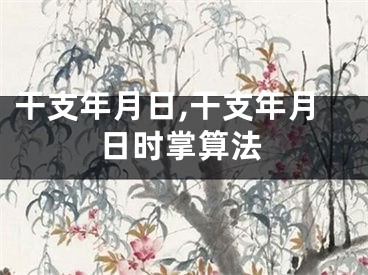 干支年月日,干支年月日时掌算法