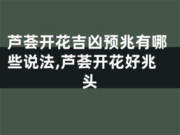 芦荟开花吉凶预兆有哪些说法,芦荟开花好兆头