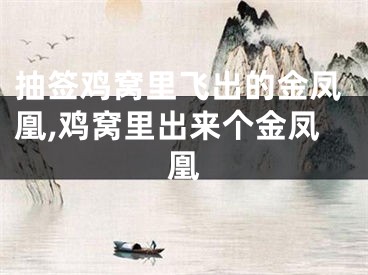 抽签鸡窝里飞出的金凤凰,鸡窝里出来个金凤凰