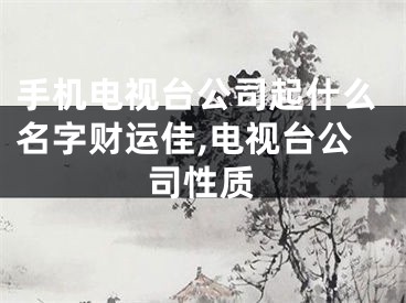 手机电视台公司起什么名字财运佳,电视台公司性质