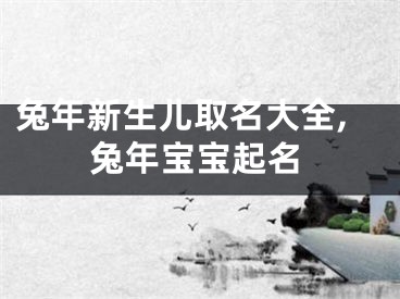 兔年新生儿取名大全,兔年宝宝起名