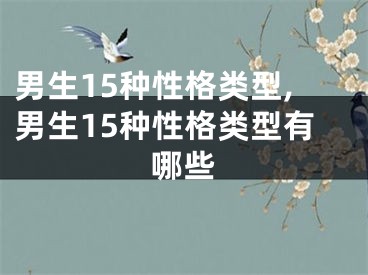 男生15种性格类型,男生15种性格类型有哪些