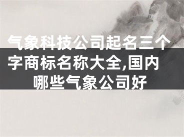 气象科技公司起名三个字商标名称大全,国内哪些气象公司好