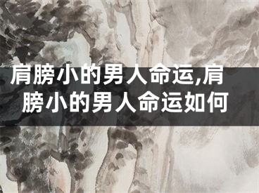 肩膀小的男人命运,肩膀小的男人命运如何