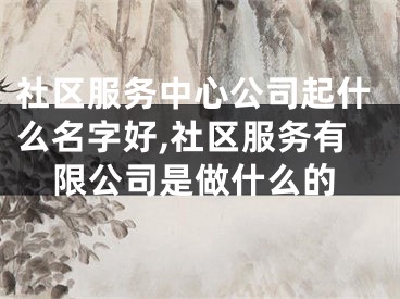 社区服务中心公司起什么名字好,社区服务有限公司是做什么的