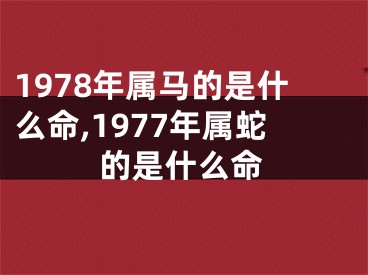 1978年属马的是什么命,1977年属蛇的是什么命