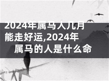 2024年属马人几月能走好运,2024年属马的人是什么命