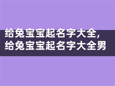 给兔宝宝起名字大全,给兔宝宝起名字大全男