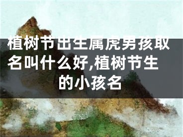 植树节出生属虎男孩取名叫什么好,植树节生的小孩名