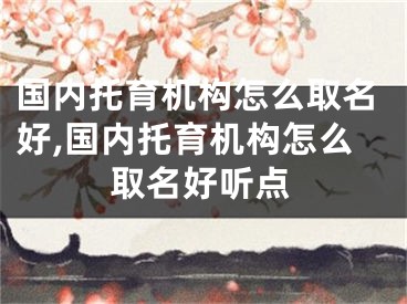 国内托育机构怎么取名好,国内托育机构怎么取名好听点