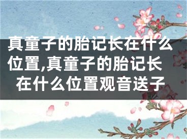 真童子的胎记长在什么位置,真童子的胎记长在什么位置观音送子