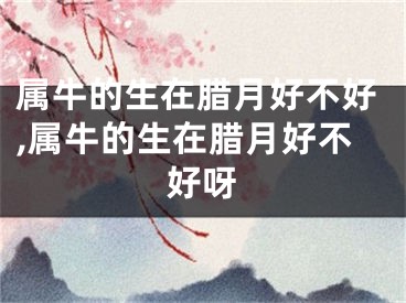 属牛的生在腊月好不好,属牛的生在腊月好不好呀