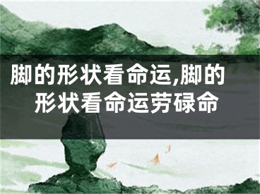 脚的形状看命运,脚的形状看命运劳碌命