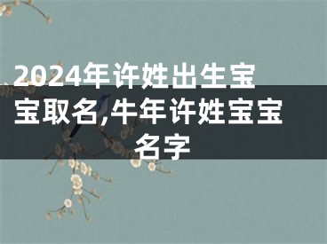 2024年许姓出生宝宝取名,牛年许姓宝宝名字