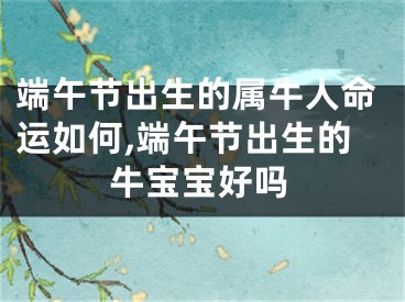 端午节出生的属牛人命运如何,端午节出生的牛宝宝好吗