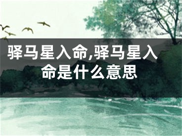 驿马星入命,驿马星入命是什么意思