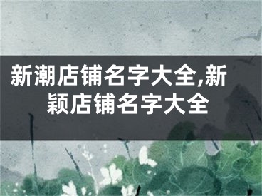 新潮店铺名字大全,新颖店铺名字大全