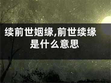 续前世姻缘,前世续缘是什么意思