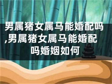 男属猪女属马能婚配吗,男属猪女属马能婚配吗婚姻如何