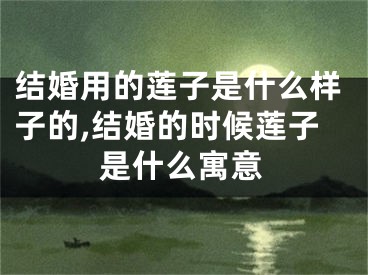 结婚用的莲子是什么样子的,结婚的时候莲子是什么寓意