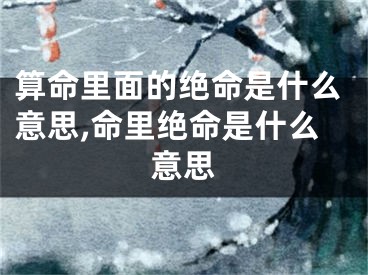 算命里面的绝命是什么意思,命里绝命是什么意思