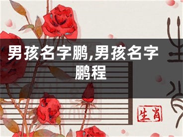男孩名字鹏,男孩名字鹏程