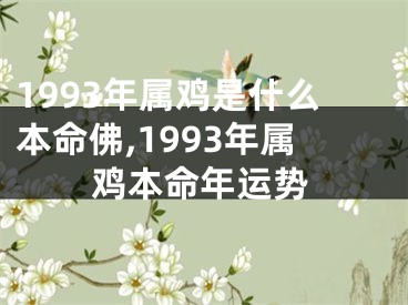 1993年属鸡是什么本命佛,1993年属鸡本命年运势