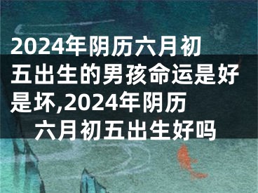 2024年阴历六月初五出生的男孩命运是好是坏,2024年阴历六月初五出生好吗