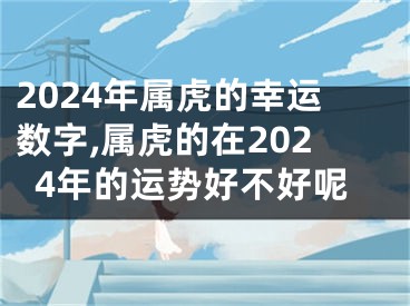2024年属虎的幸运数字,属虎的在2024年的运势好不好呢