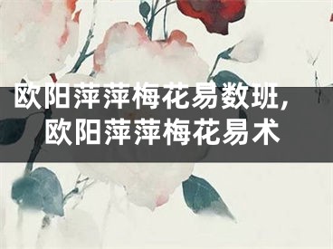欧阳萍萍梅花易数班,欧阳萍萍梅花易术