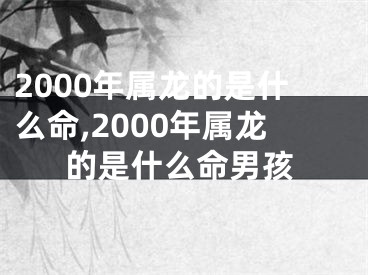 2000年属龙的是什么命,2000年属龙的是什么命男孩