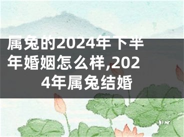 属兔的2024年下半年婚姻怎么样,2024年属兔结婚