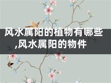 风水属阳的植物有哪些,风水属阳的物件
