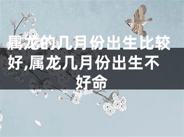 属龙的几月份出生比较好,属龙几月份出生不好命