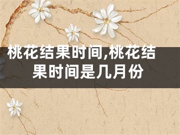 桃花结果时间,桃花结果时间是几月份